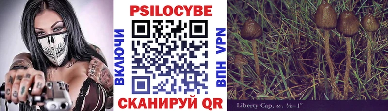 МЕГА   сколько стоит  Ужур  Псилоцибиновые грибы ЛСД 